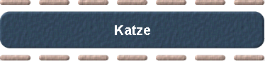  Katze 